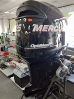 Mercury Optimax 3,0 V6 225 hk.